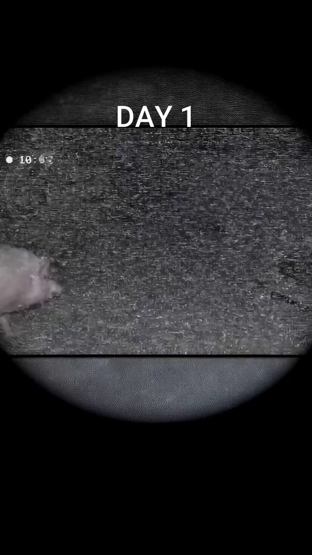 Unbelievable AI Video: Is It Real or Veo 3? - Veo 3 AI video prompt thumbnail