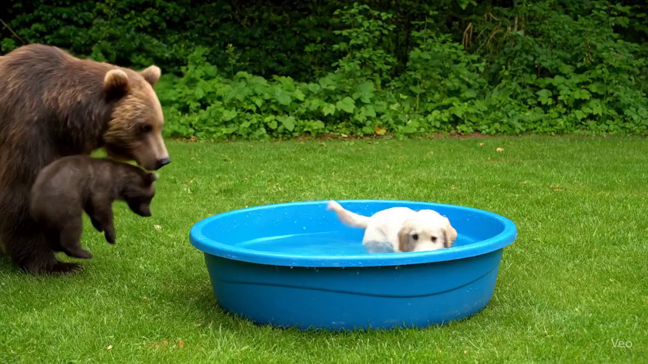 Momma Bear's Daycare Drop-Off: A Wildly Realistic Short - Veo 3 AI video prompt thumbnail