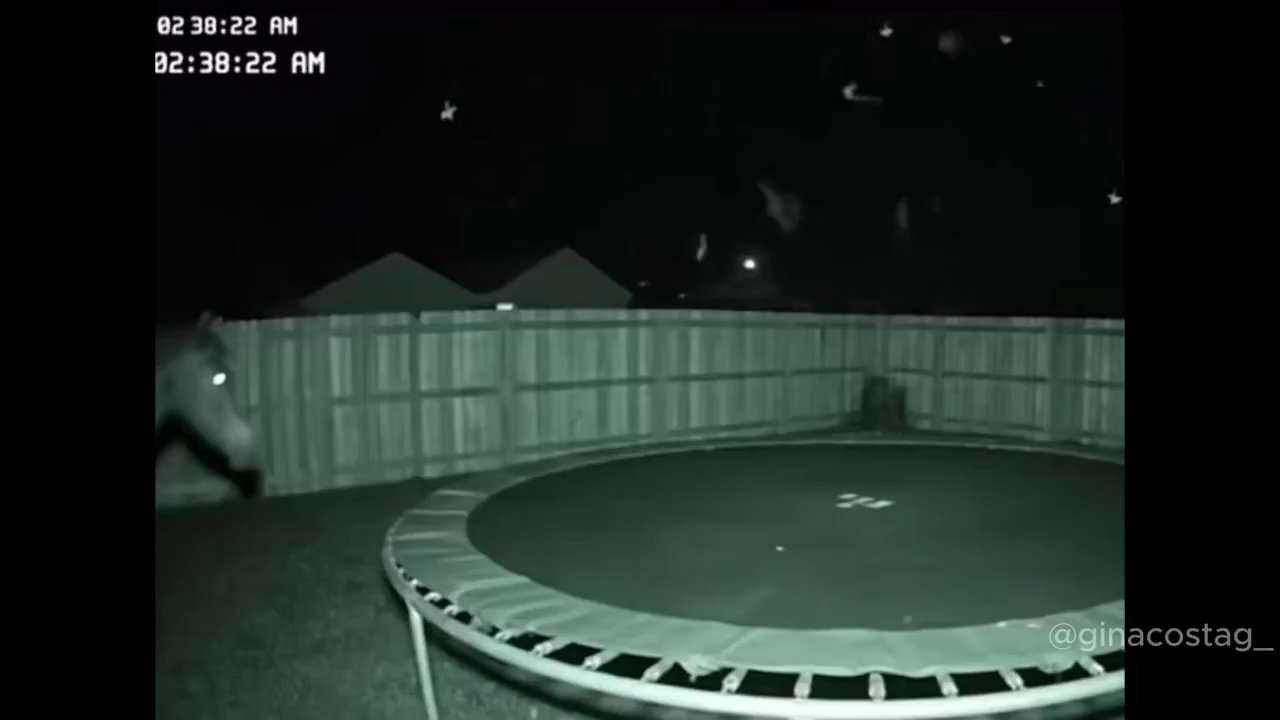 Epic Trampoline Fails: Hilarious Bounces Gone Wrong! - Veo 3 AI video prompt thumbnail