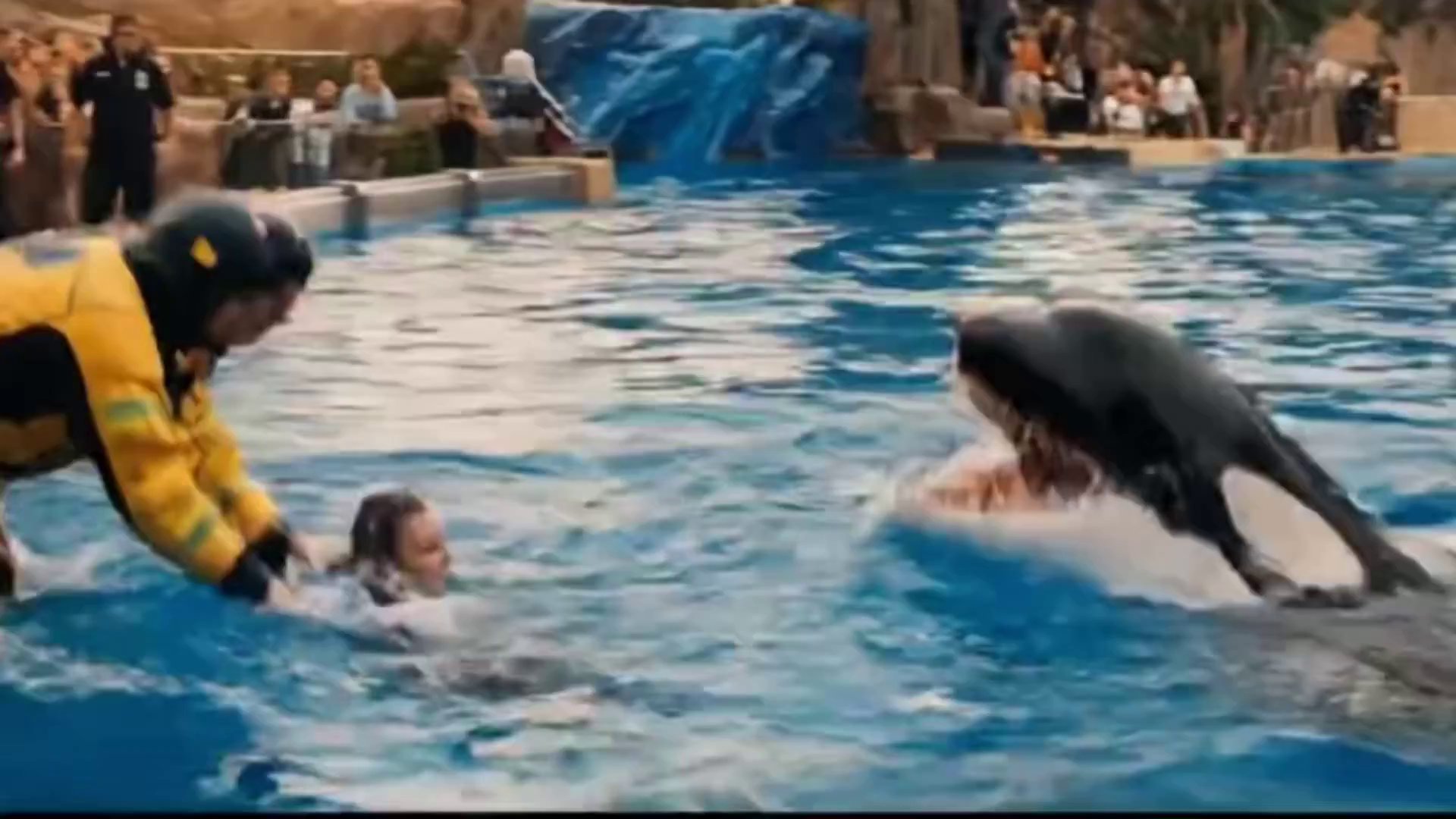 Viral AI Dolphin Swimmer Attack Videos - Veo 3 AI video prompt thumbnail