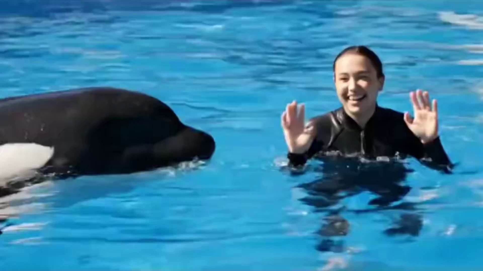 Chillin' Dolphin Vibes: Relaxing Ocean Serenity - Veo 3 AI video prompt thumbnail