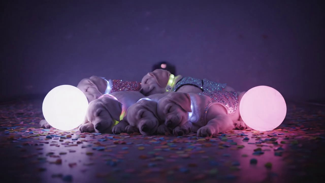 Here’s the final cozy scene prompt to complete the... - Veo 3 AI video prompt thumbnail