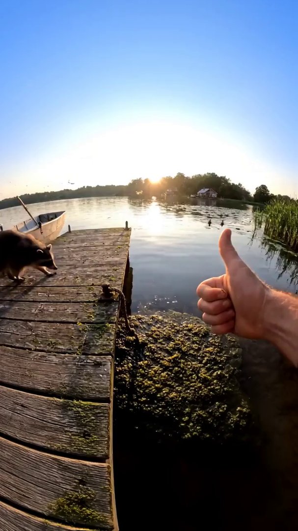 Handheld home-video on a small lakeside dock at go... - Veo 3 AI video prompt thumbnail