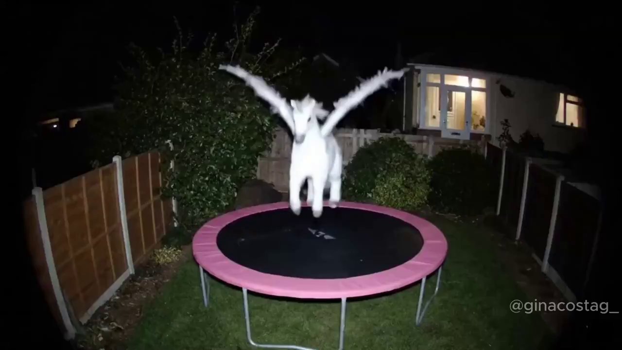 Trampoline Fun: Dynamic Jumps & Play - Veo 3 AI video prompt thumbnail