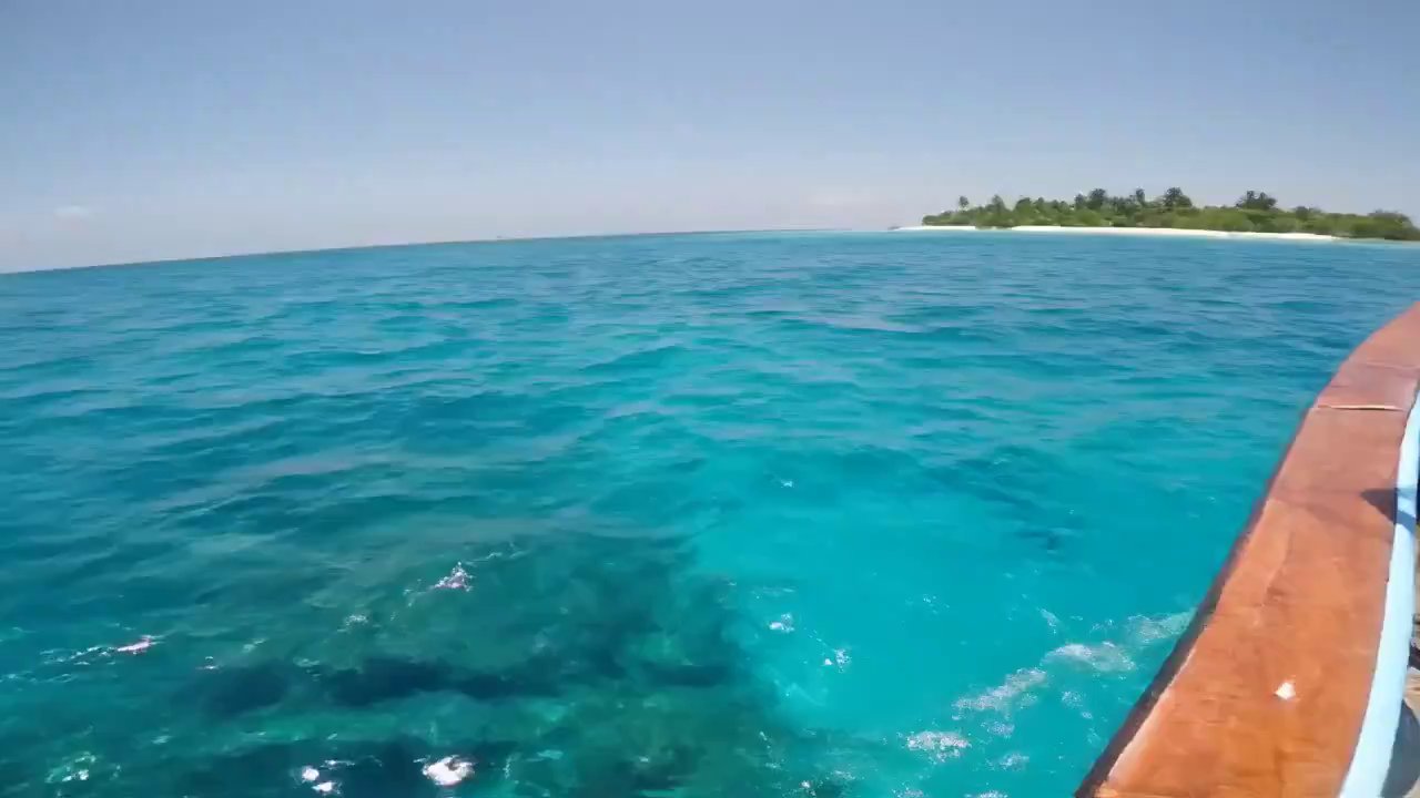 Maldives Dive POV – From Sunlight to Silence
