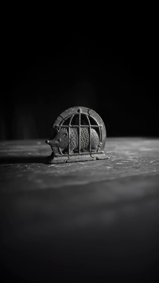 A close-up, black and white shot with a Karel Zema... - Veo 3 AI video prompt thumbnail