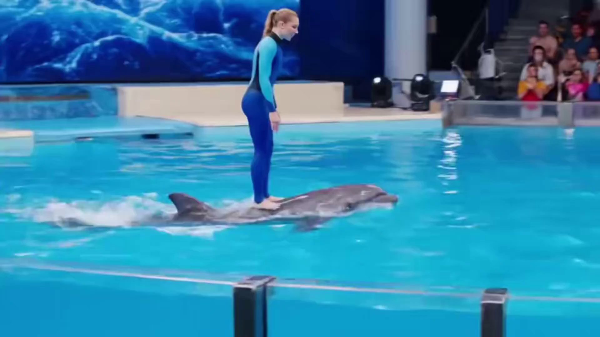 Fantasy Dolphin Rider: A Playful Aquatic Adventure - Veo 3 AI video prompt thumbnail